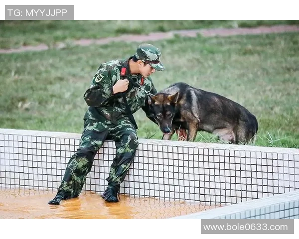 专访攀岩高手李敏揭秘成功背后的心路历程与训练秘诀 专访攀岩高手李敏揭秘成功背后的心路历程与训练秘诀