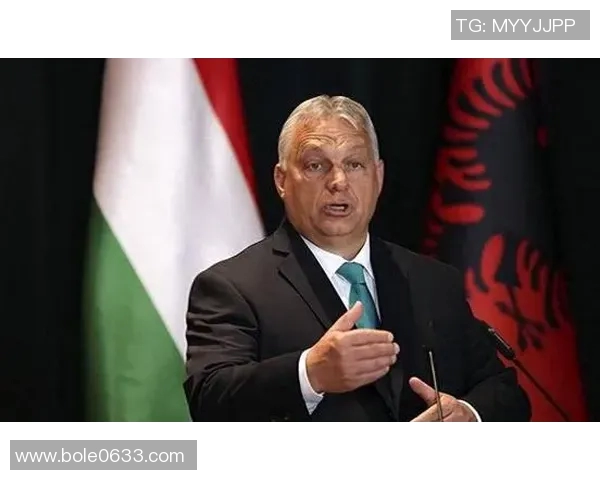 专访杨娜:探寻她在篮球领域取得成功的秘诀与心路历程 专访杨娜:探寻她在篮球领域取得成功的秘诀与心路历程