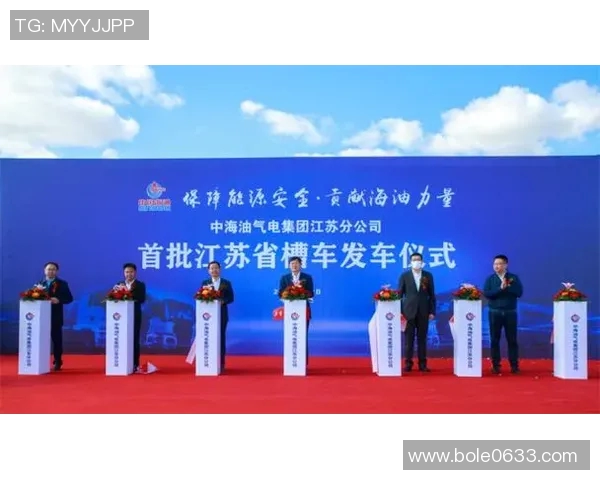 独家解析LNG灵活性优势与挑战的全面对比分析 独家解析LNG灵活性优势与挑战的全面对比分析