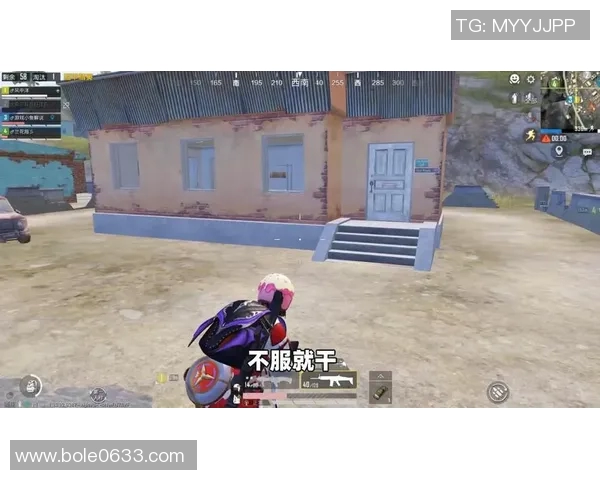 专访和平精英制作人杨磊深度剖析游戏成功背后的秘密与策略