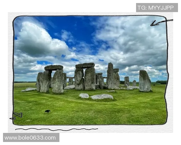 布莱克尼的神秘旅程探索未知世界的奇幻与挑战