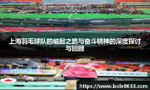 哈哈体育app官网入口